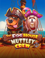 สล็อต 800 ความสนุกทดลองเล่นที่ห้ามพลาด